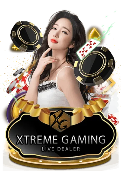 คาสิโน 3